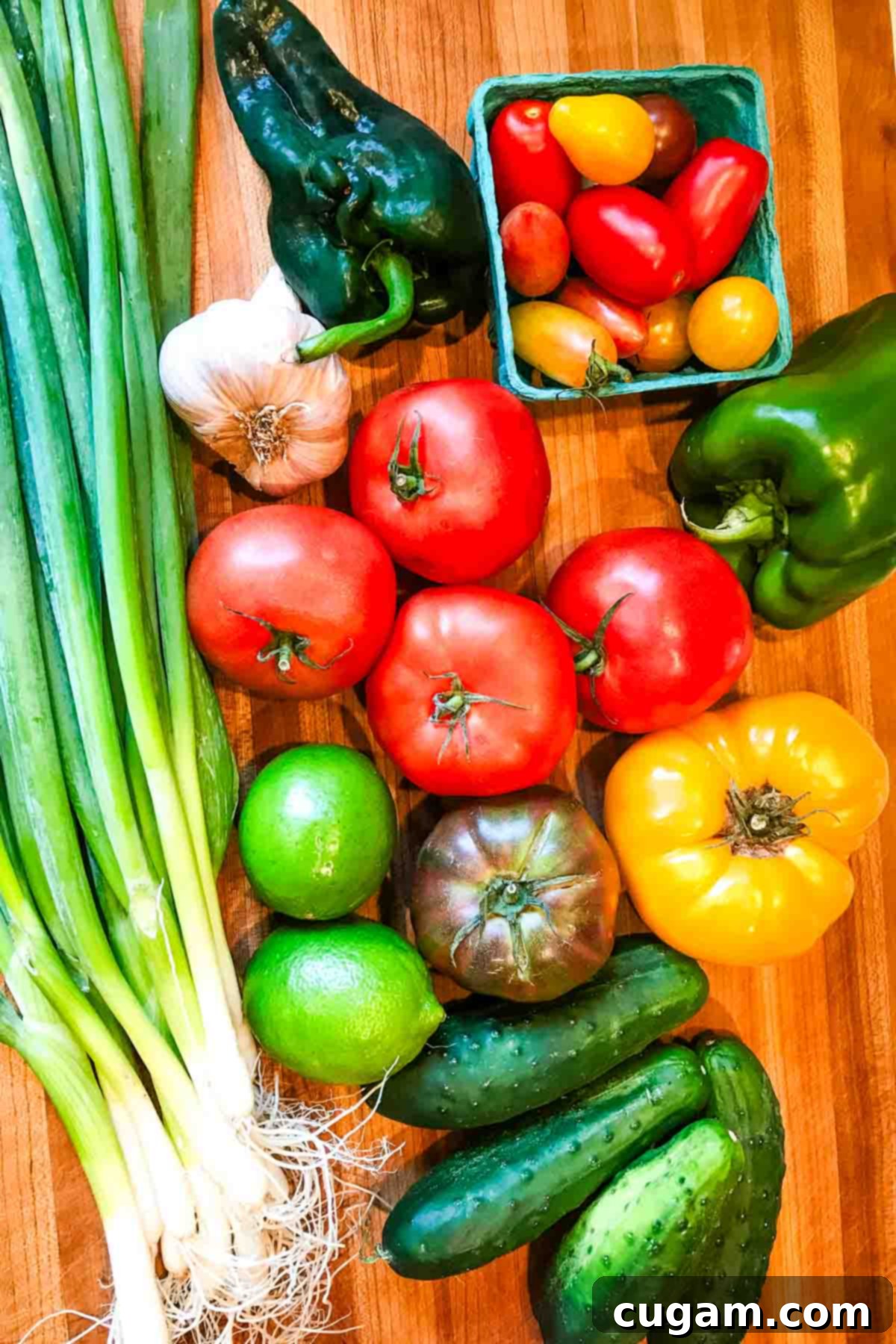 Fresh, vibrant ingredients for gazpacho laid out: tomatoes, cucumbers, peppers, scallions, herbs, and jalapeno.