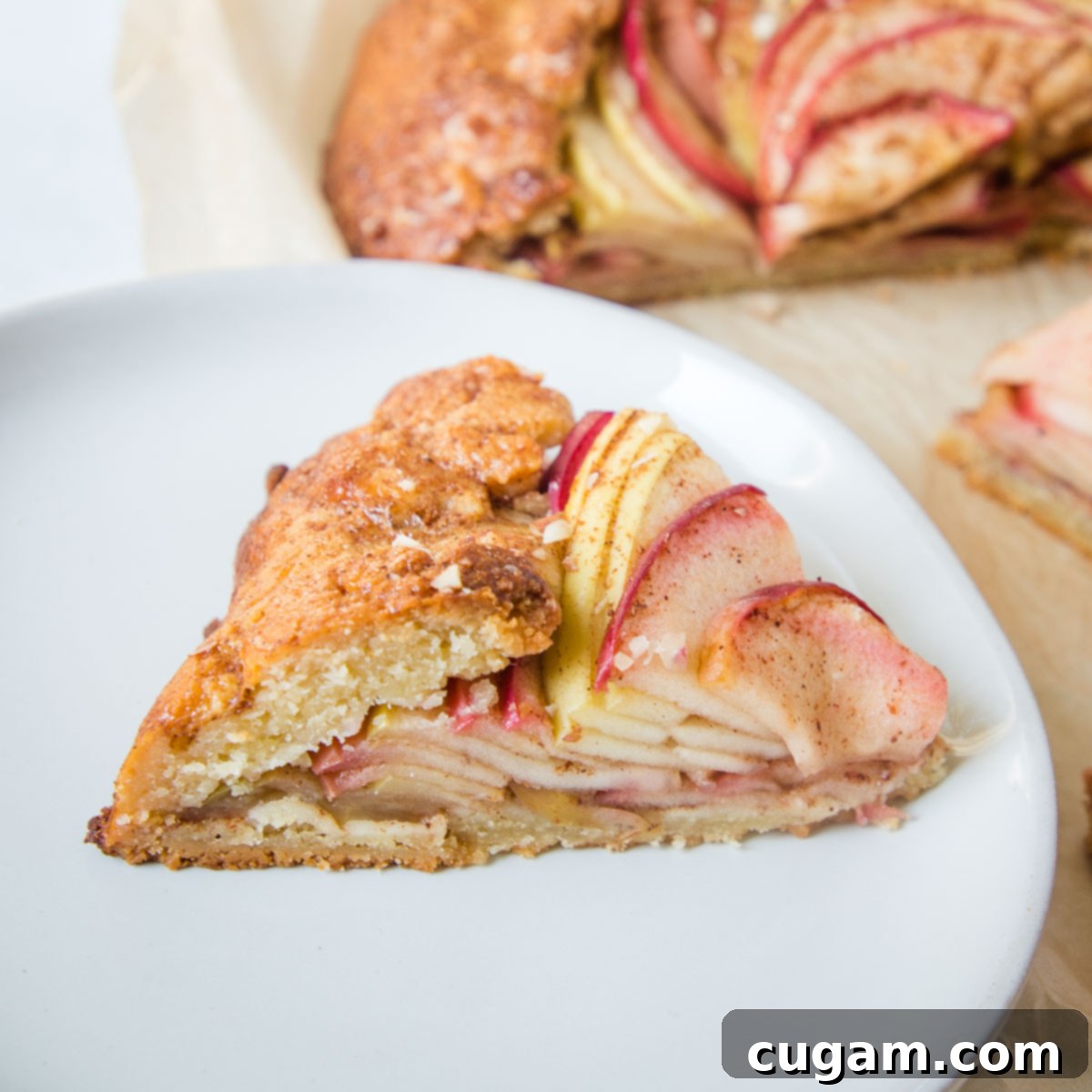Side view of a slice of apple galette. You can see all the layers of apple slices.