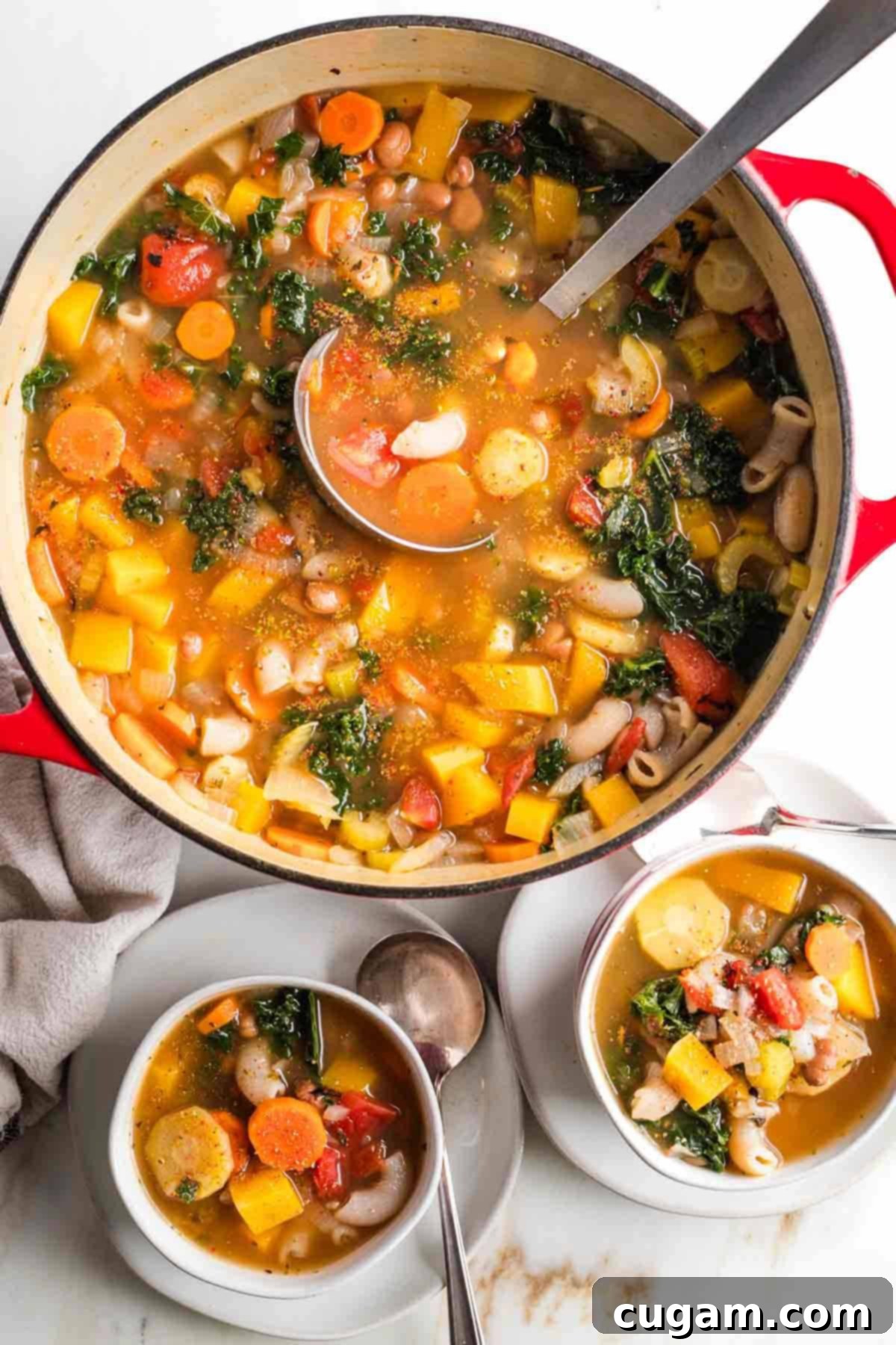 Chunks of veggies, beans and pasta in a deep rich broth. 