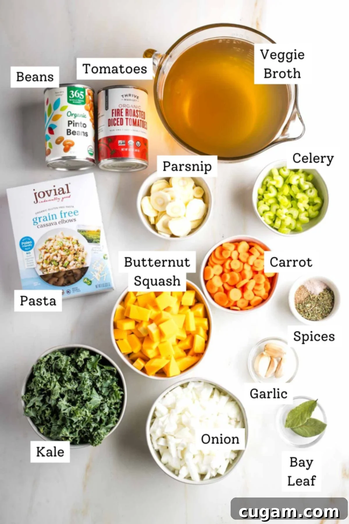 Labeled ingredients: vegegie broth, canned beans and tomatoes, celery, carrot, parsnip, butternut squash, kale, spices, garlic pasta.