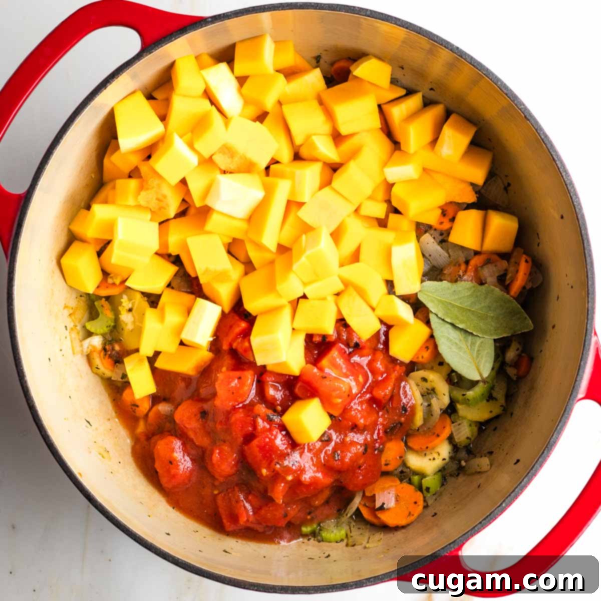 Diced butternut squash and canned tomatoes plus bay leaves in a dutch oven with sauteed veggies.