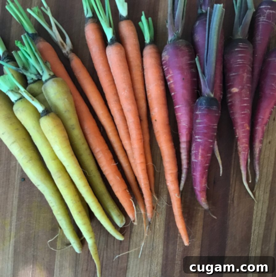 Vibrant Rainbow Carrots, packed with nutrition, ready for a flavorful Roasted Carrot and Fennel Salad