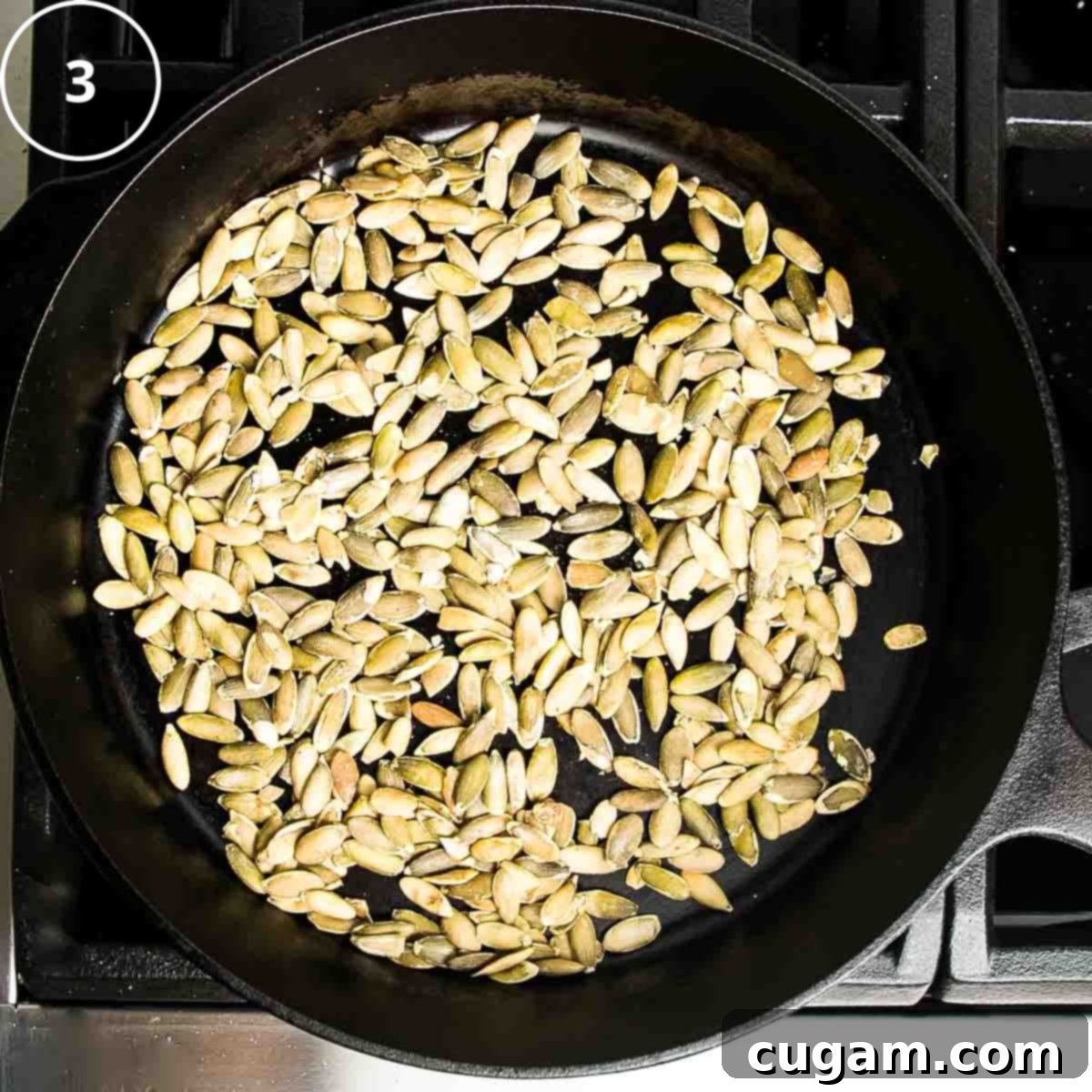 Pumpkin seeds in a single layer in a cast iron skillet.