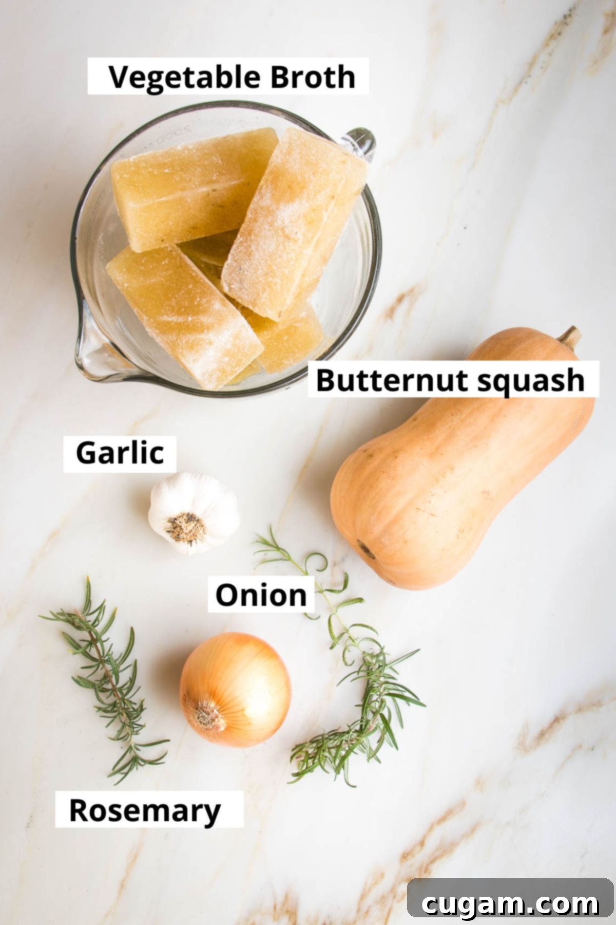 Labeled ingredients for Butternut Squash Soup: Vegetable broth, butternut squash, garlic, onion, rosemary, olive oil, salt, pepper.