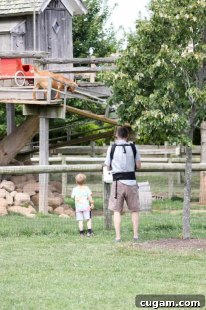 A Day On A Farm