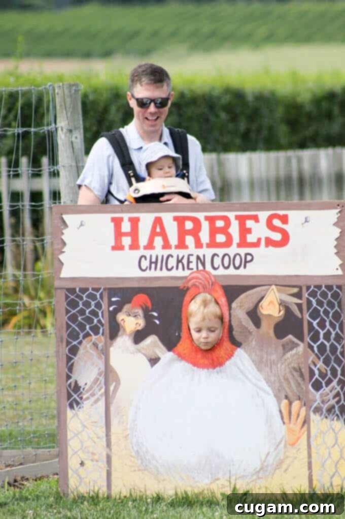 A Day On A Farm