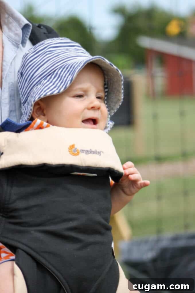 A Day On A Farm