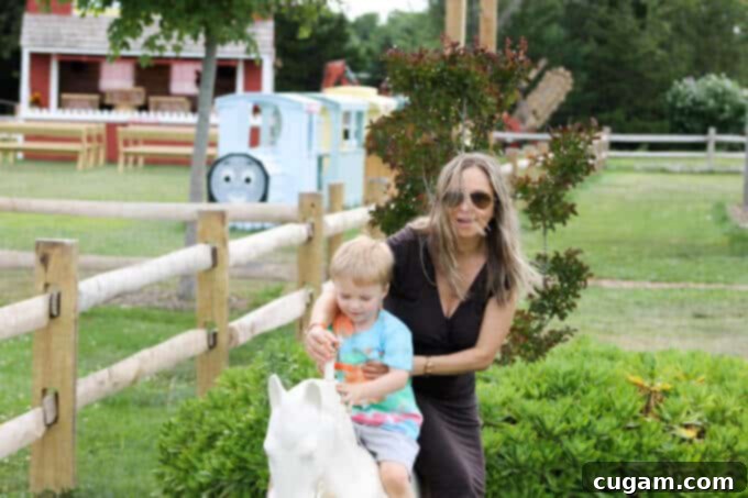 A Day On A Farm