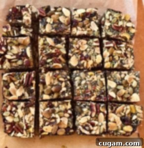 Oatmeal Chocolate Trail Bars