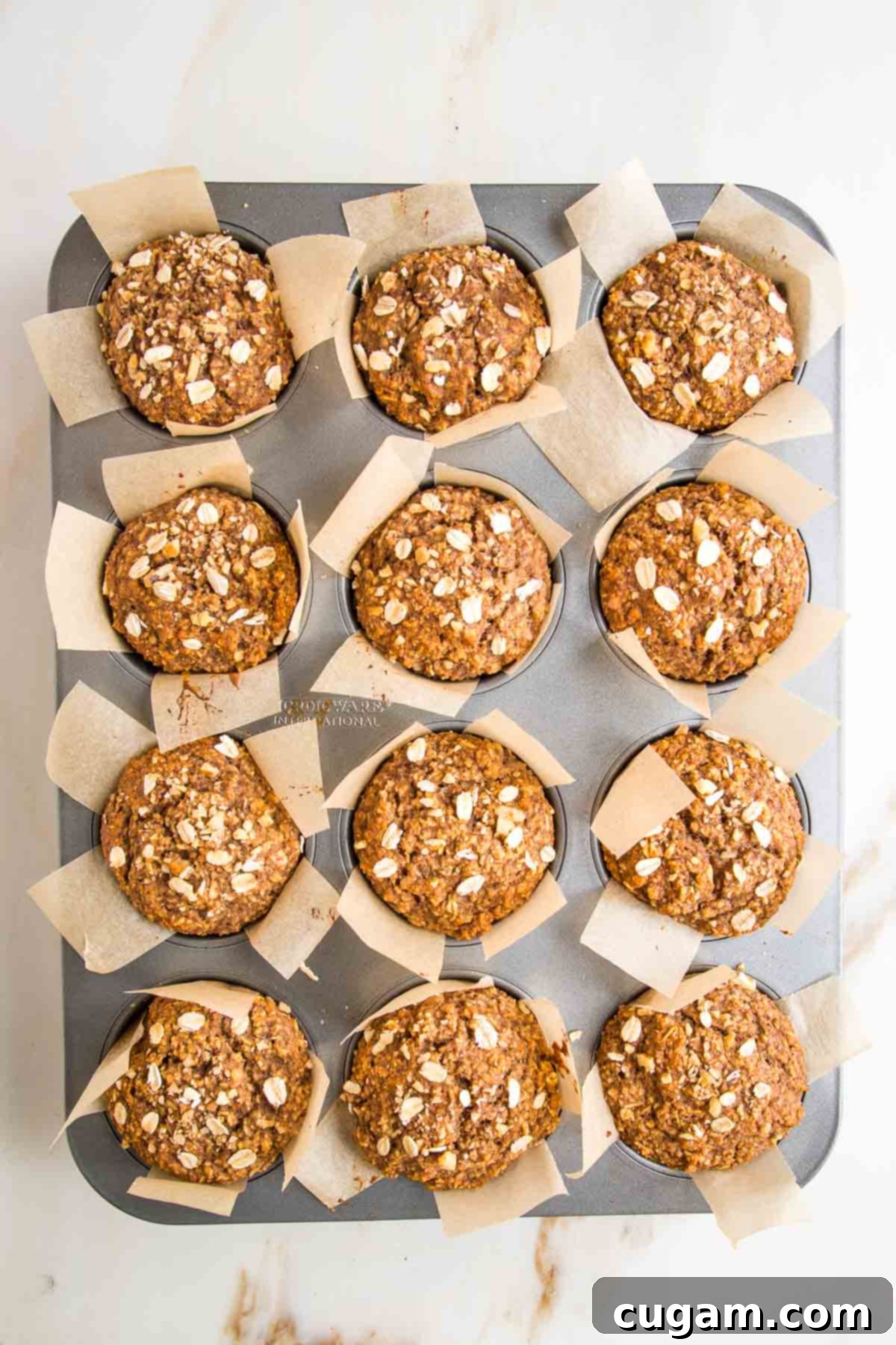 A perfectly baked batch of oatmeal muffins, still in their muffin tin, each nestled in a parchment strip liner, showing golden-brown tops.