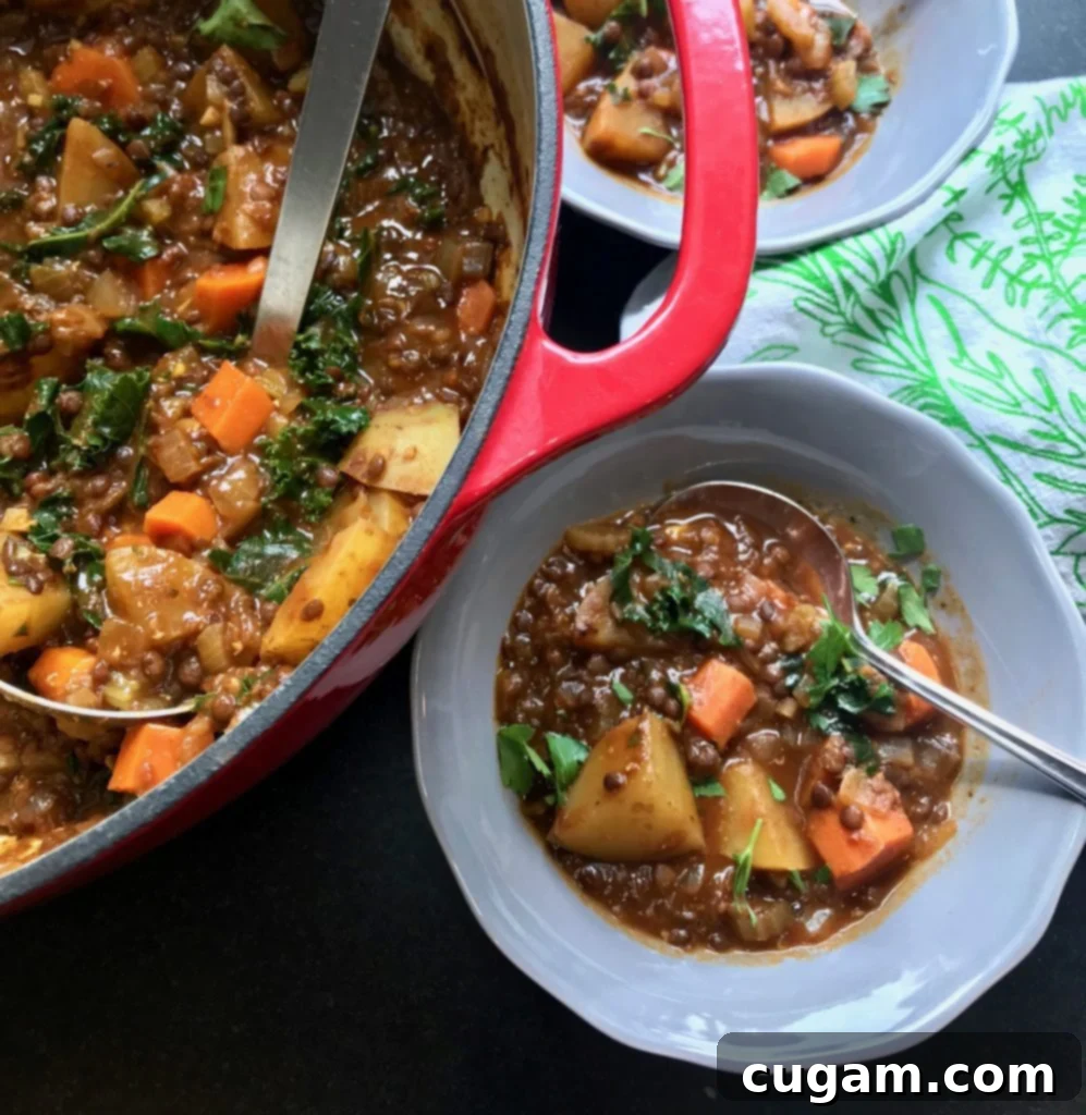 Hearty Vegan No Beef Stew, a healthy gluten-free recipe perfect for chilly weather.