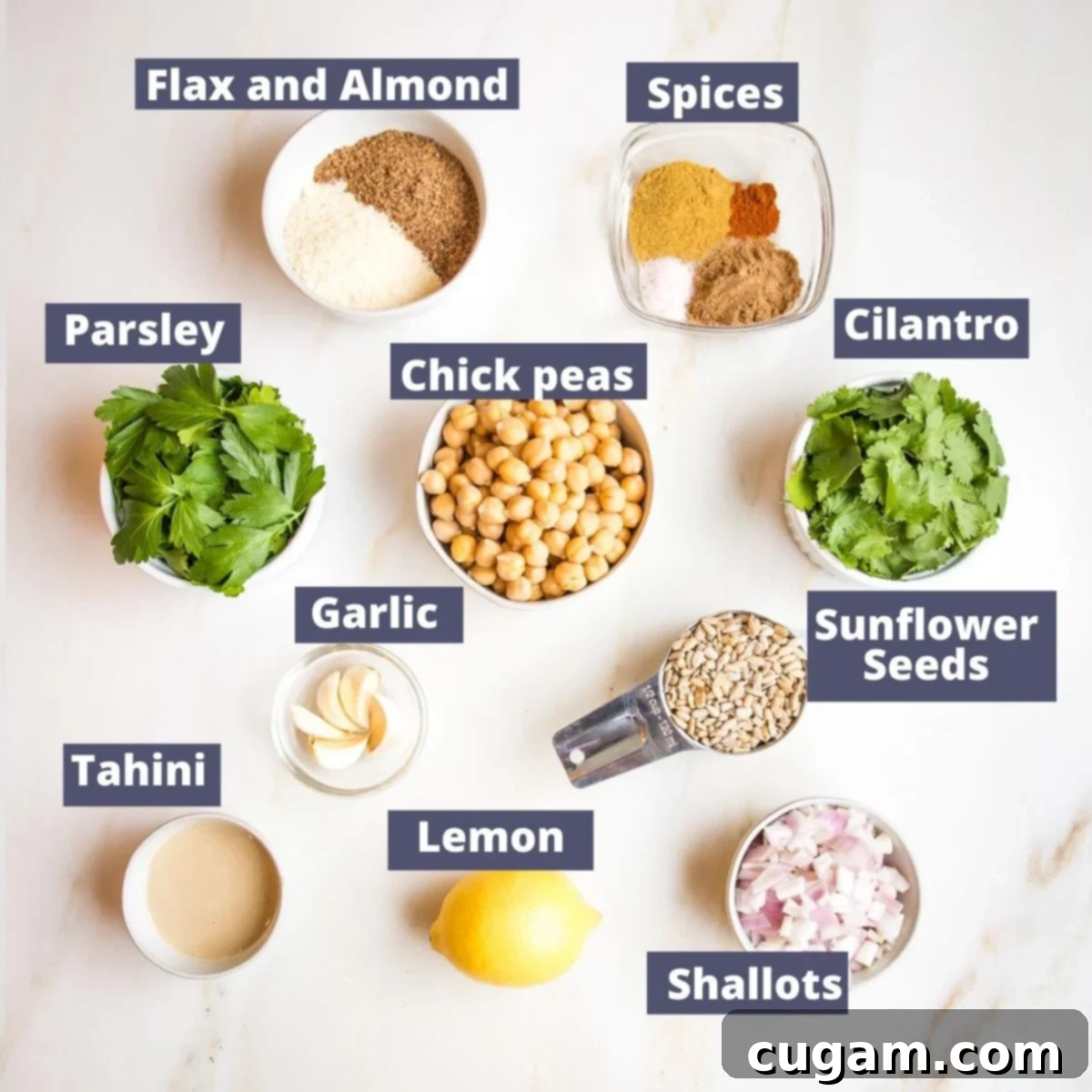 Labeled ingredients for falafel: chickpeas, parsley, cilantro, sunflower seeds, garlic, tahini, lemon, spices, flax seeds and almond flour.