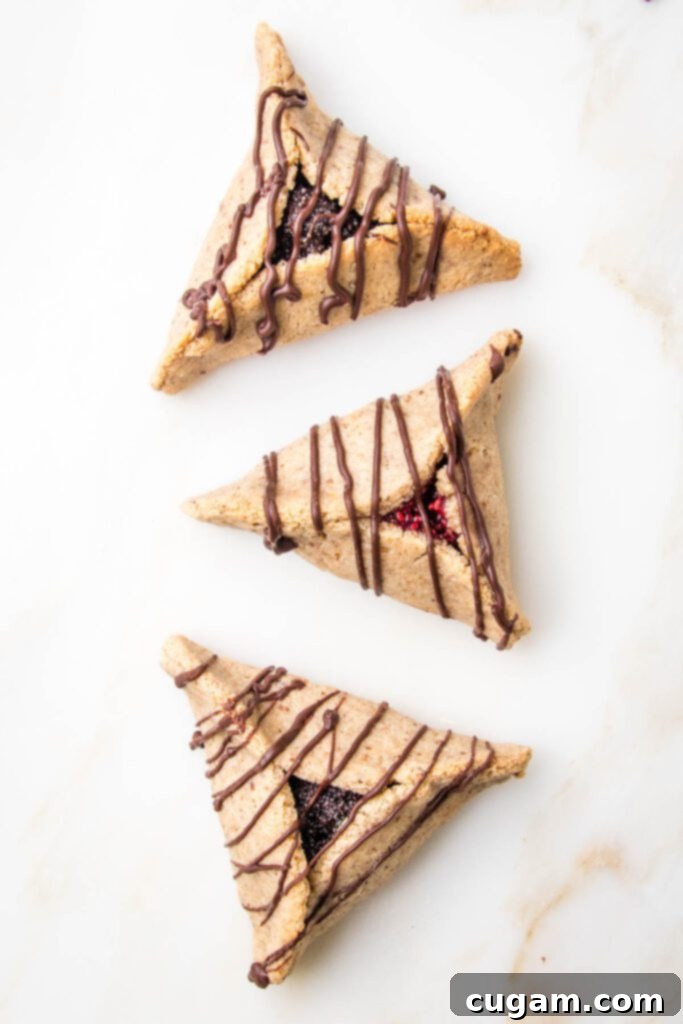 Three hamentashen cookies all drizzled with chocolate. two have poppy seed filling, one is filled with raspberry jam.