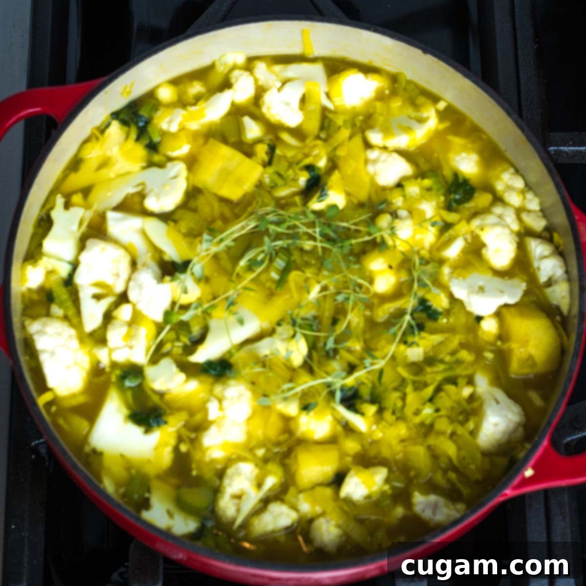 Chunks of cauliflower and sauteed celery, leeks and parsnips floating in veggie broth with fresh thyme sprigs.