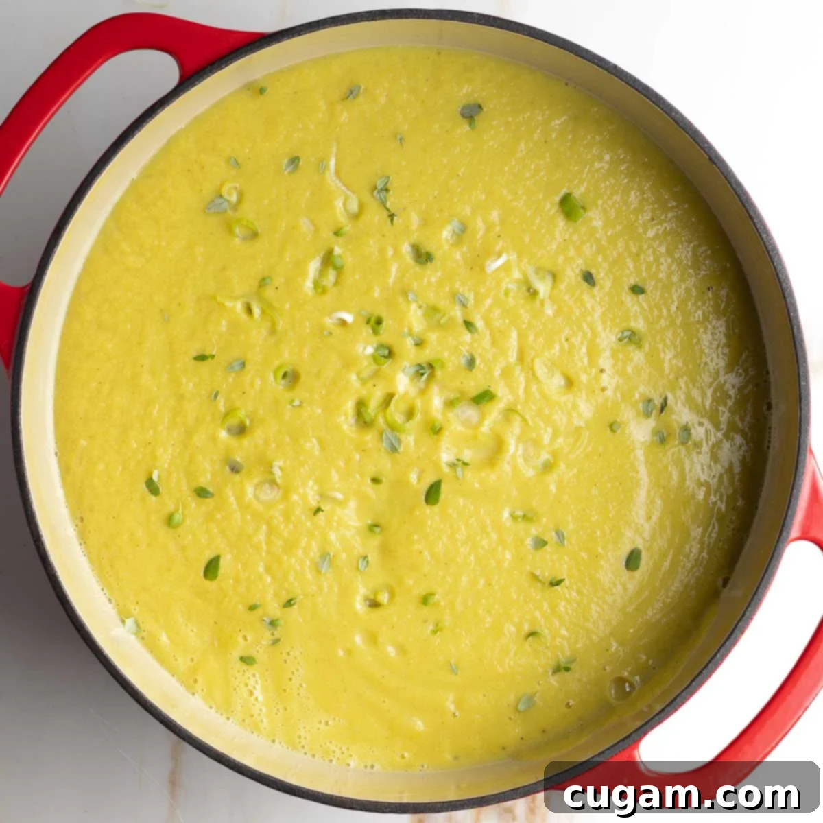 Pureed leek soup in a dutch oven, sprinkled with fresh thyme leaves.