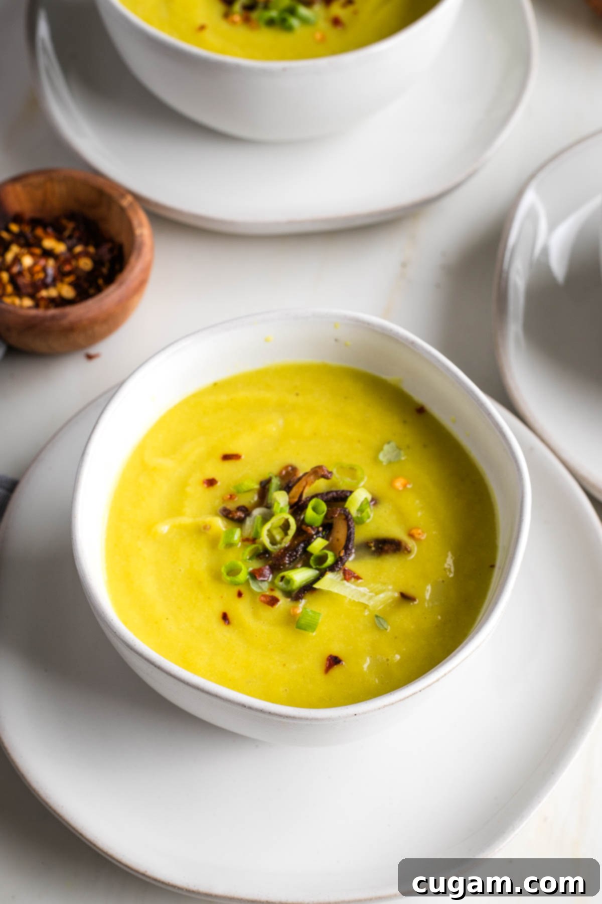 Bowl of leek soup, garnished with sauteed mushrooms, sliced scallions and red pepper.