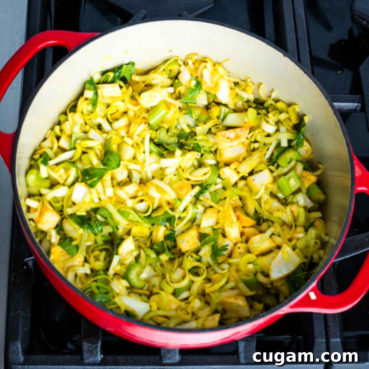 Dutch oven filled with chopped veggies and spices.