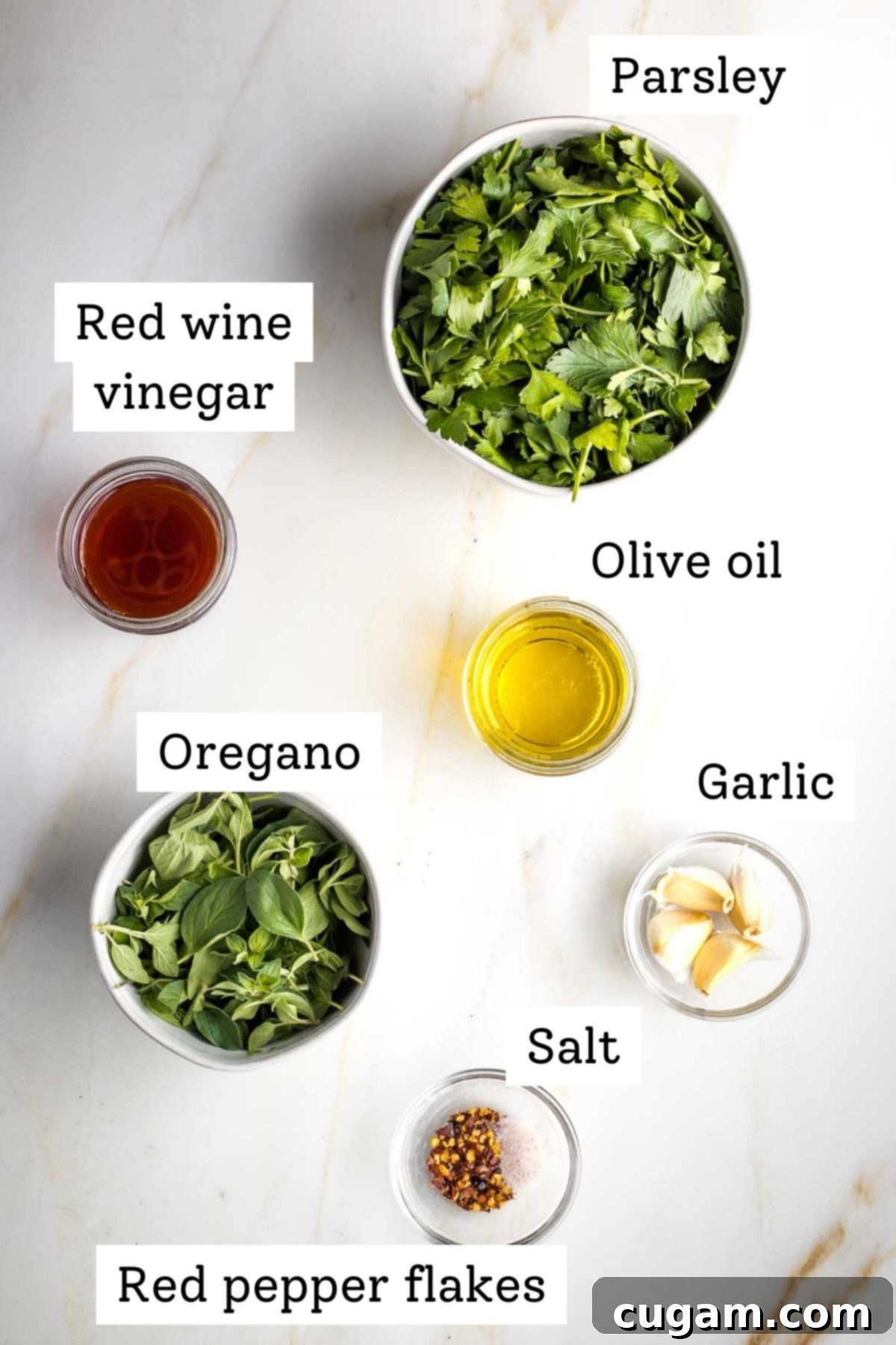 Labeled ingredient photo showing fresh parsley, red wine vinegar, oregano, olive oil, garlic cloves, salt, and red pepper flakes laid out for chimichurri.