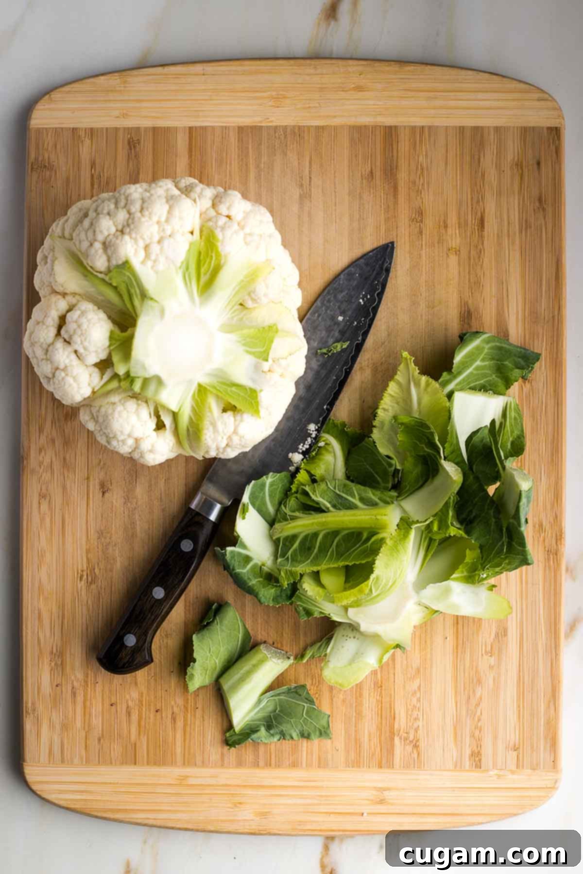 Head of cauliflower with the bottom stem and outer leaves precisely cut off, revealing a clean base.