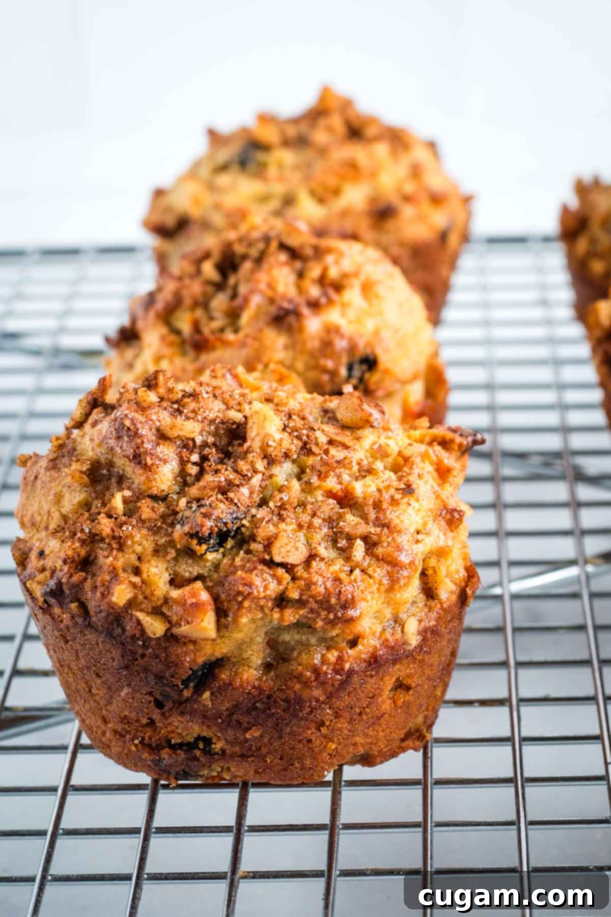 A single carrot muffin topped with walnuts and cinnamon, resting on a wire rack to cool.