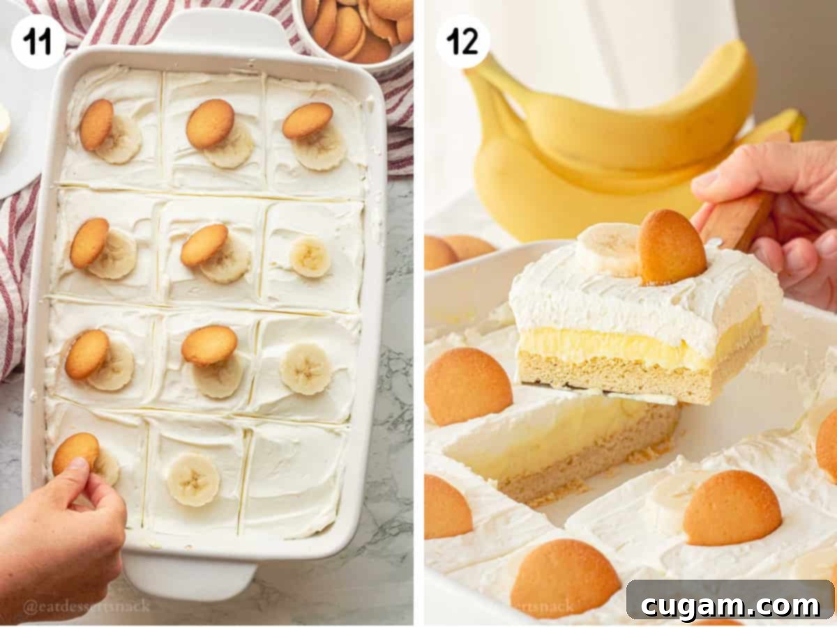 Step 11: Banana pudding bars topped with vanilla wafer cookies and fresh banana slices, ready for chilling. Step 12: The fully chilled and set banana pudding bars in the pan, ready to be sliced and served.