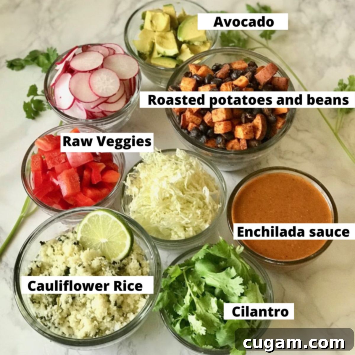 An inviting spread of labeled ingredients for a DIY vegan enchilada bowl: a bowl of rich red enchilada sauce, roasted sweet potatoes and black beans, fresh raw vegetables like bell peppers and radishes, fluffy cauliflower rice, vibrant cilantro, and creamy avocado slices.