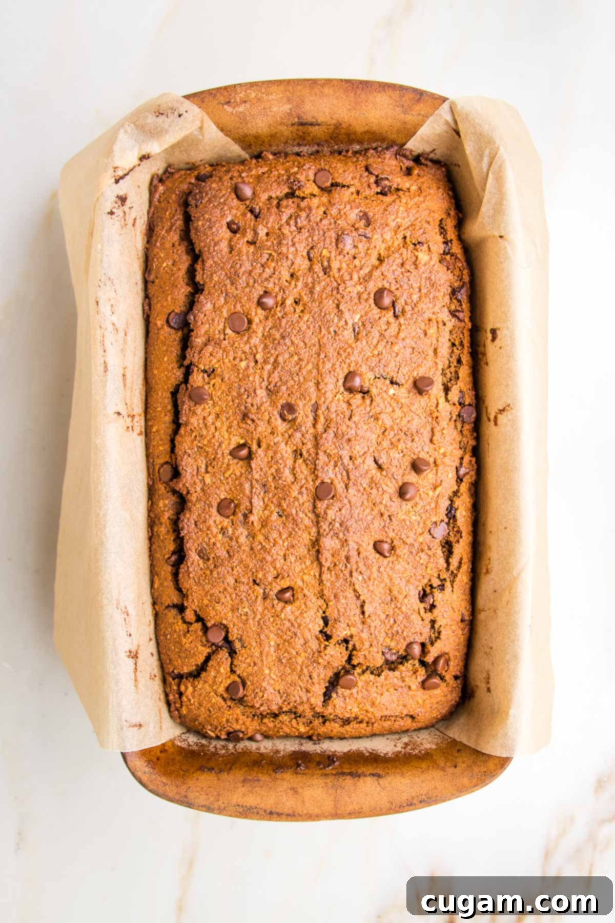 Stoneware loaf pan, lined with parchment paper and filled with just baked homemade banana bread with chocolate chips and a few cracks on the top.