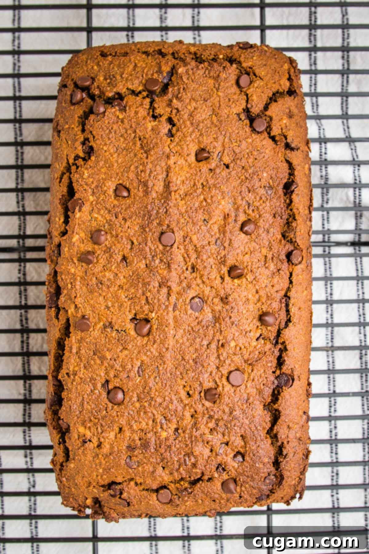 Chocolate Chip Tahini Banana Bread cooling on a wire rack.