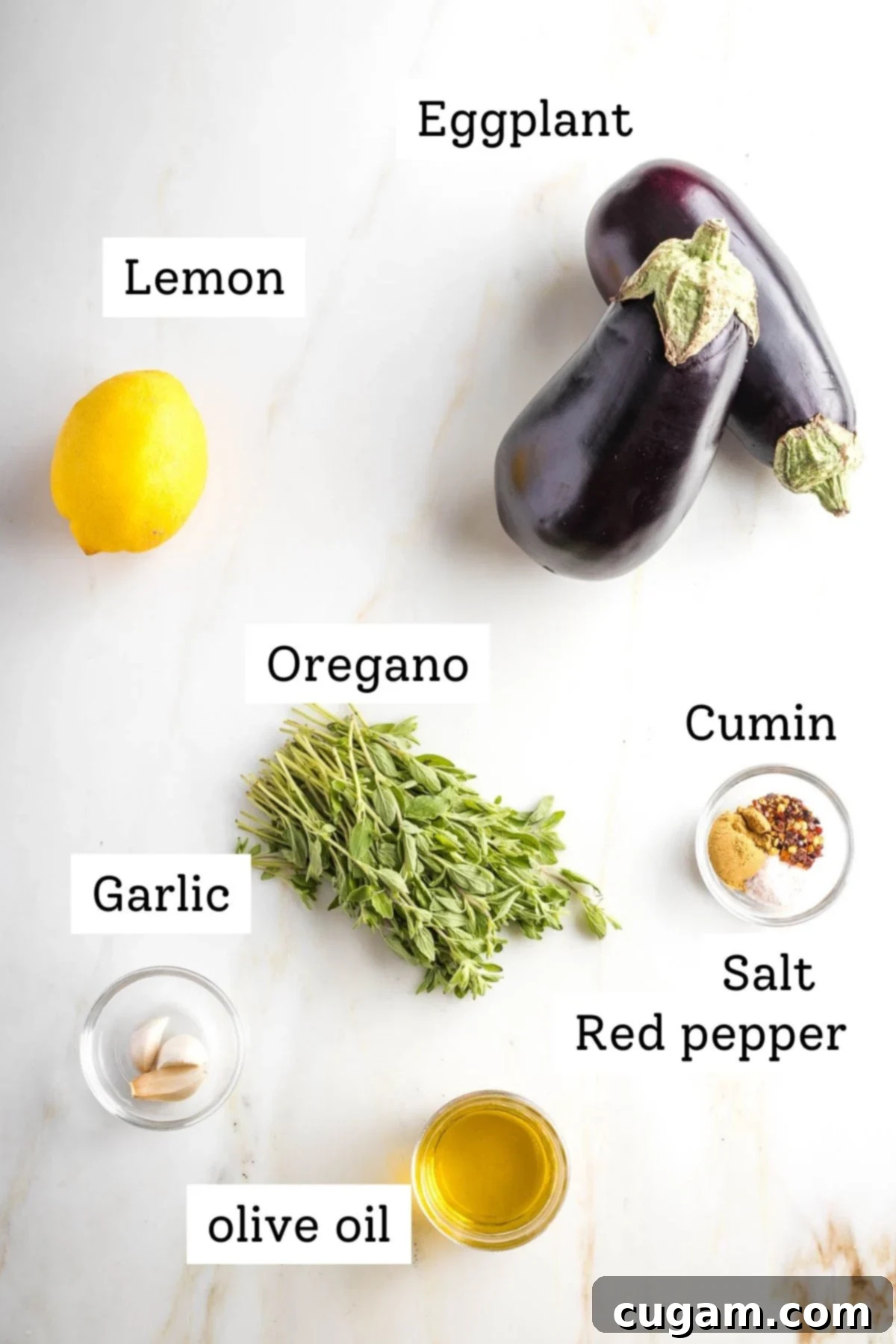 Labeled ingredients: lemon, eggplant, oregano, garlic, olive oil, spices.