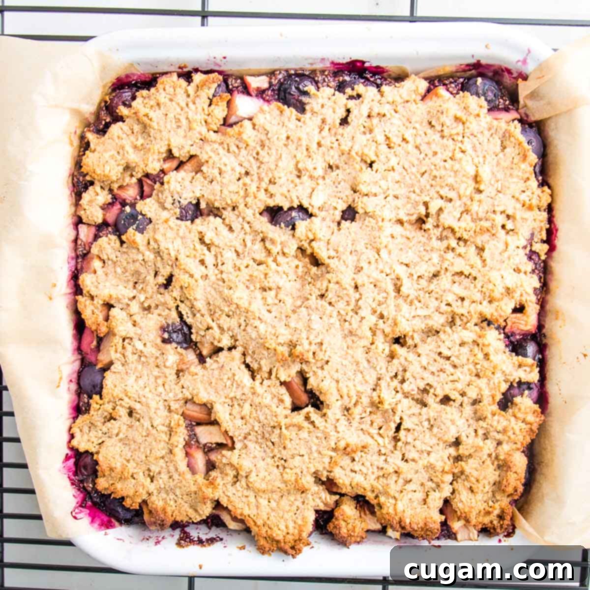 Baked blueberry crumble bars fresh out of the oven, golden brown and bubbly.