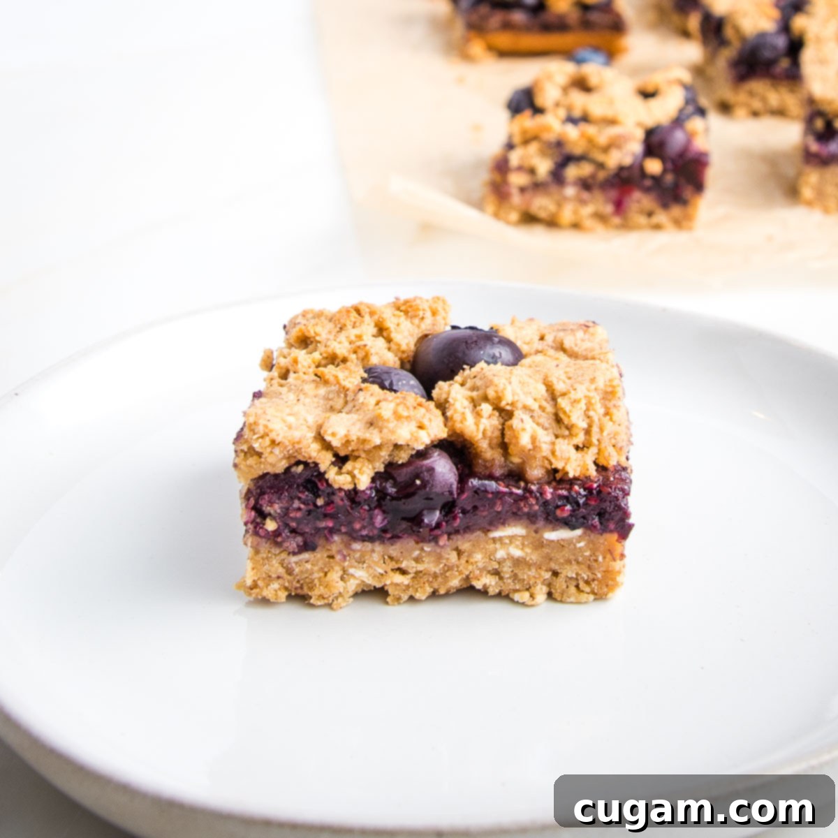 Side view of a blueberry bar with a solid bottom and crumble topping, showing distinct layers and texture.