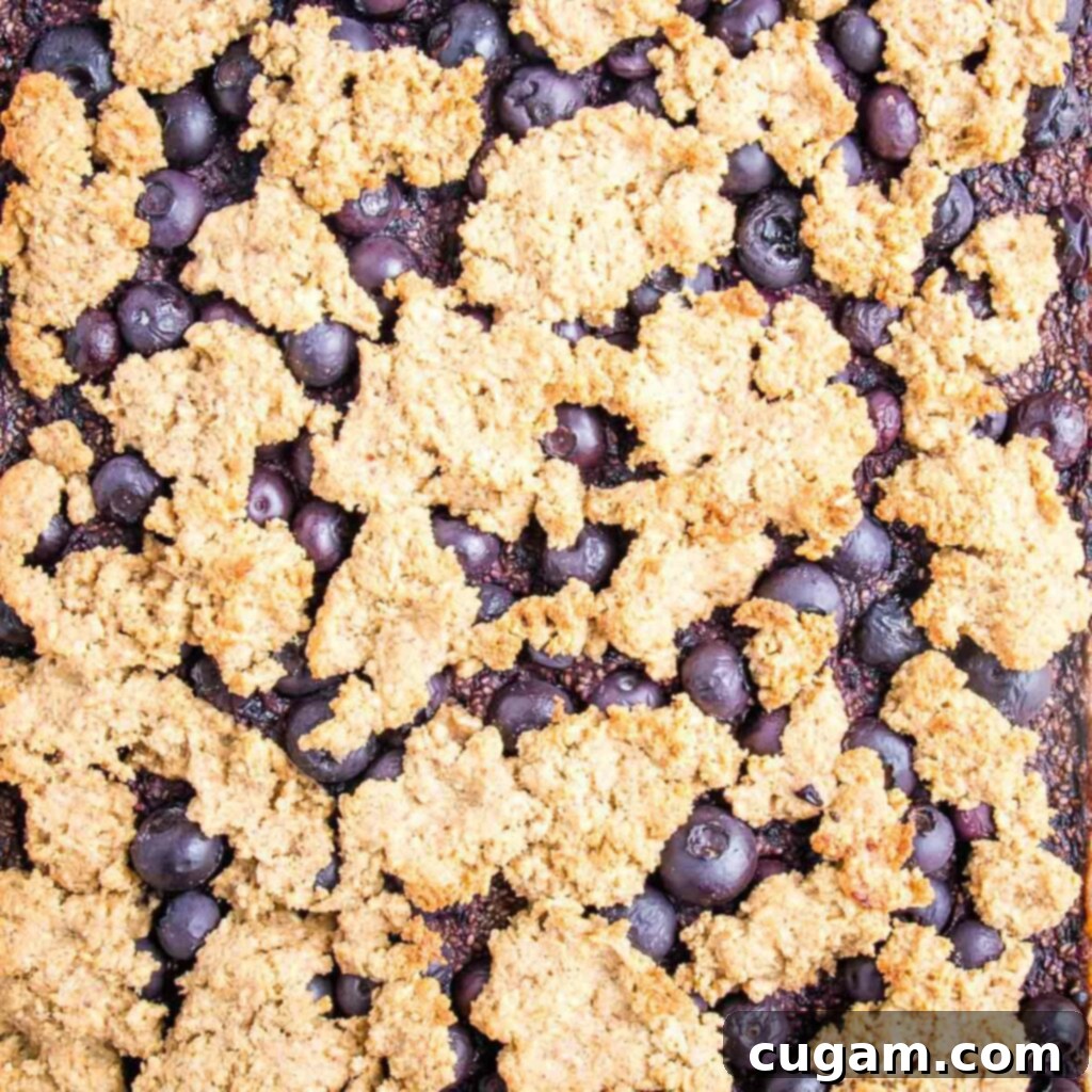 Up close shot of blueberry crumble right out of the oven. You can see some of the cooked blueberries and the jammy inside through the cracks in the crispy topping. Illustrates the texture and appealing warmth.