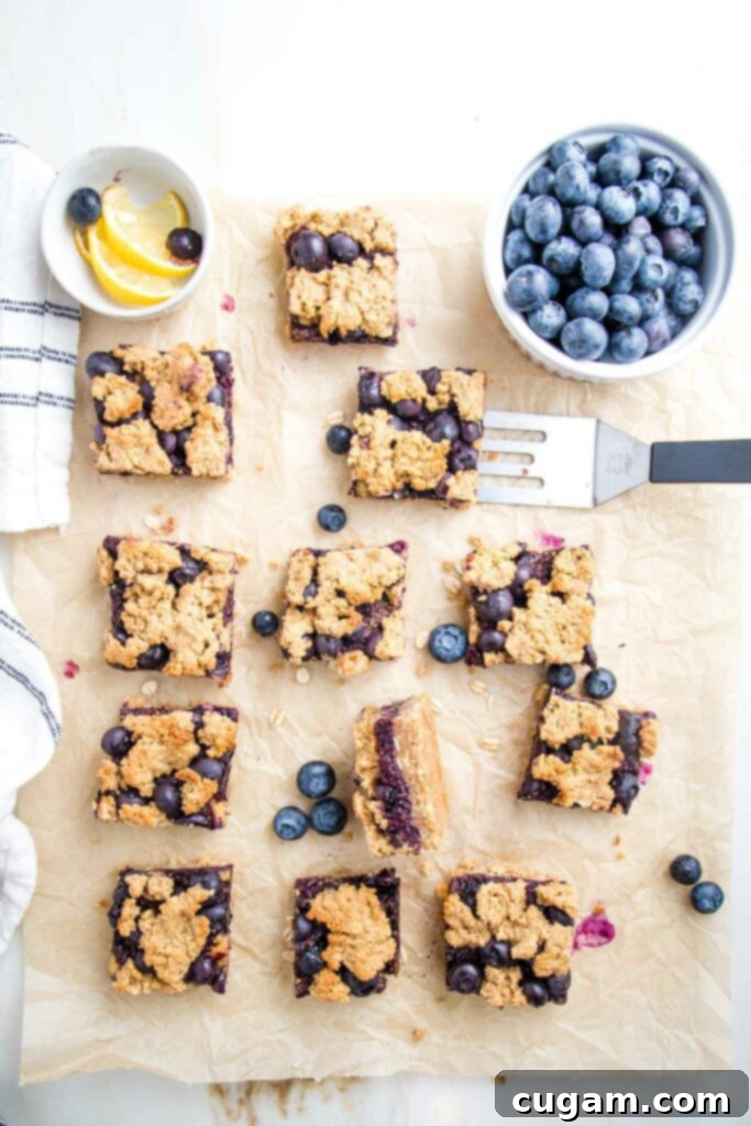blueberry crumb bars cut into squares, one is on its side so you can see the jammy center. there is also a small bowl of blueberries and a dish of lemon slices.