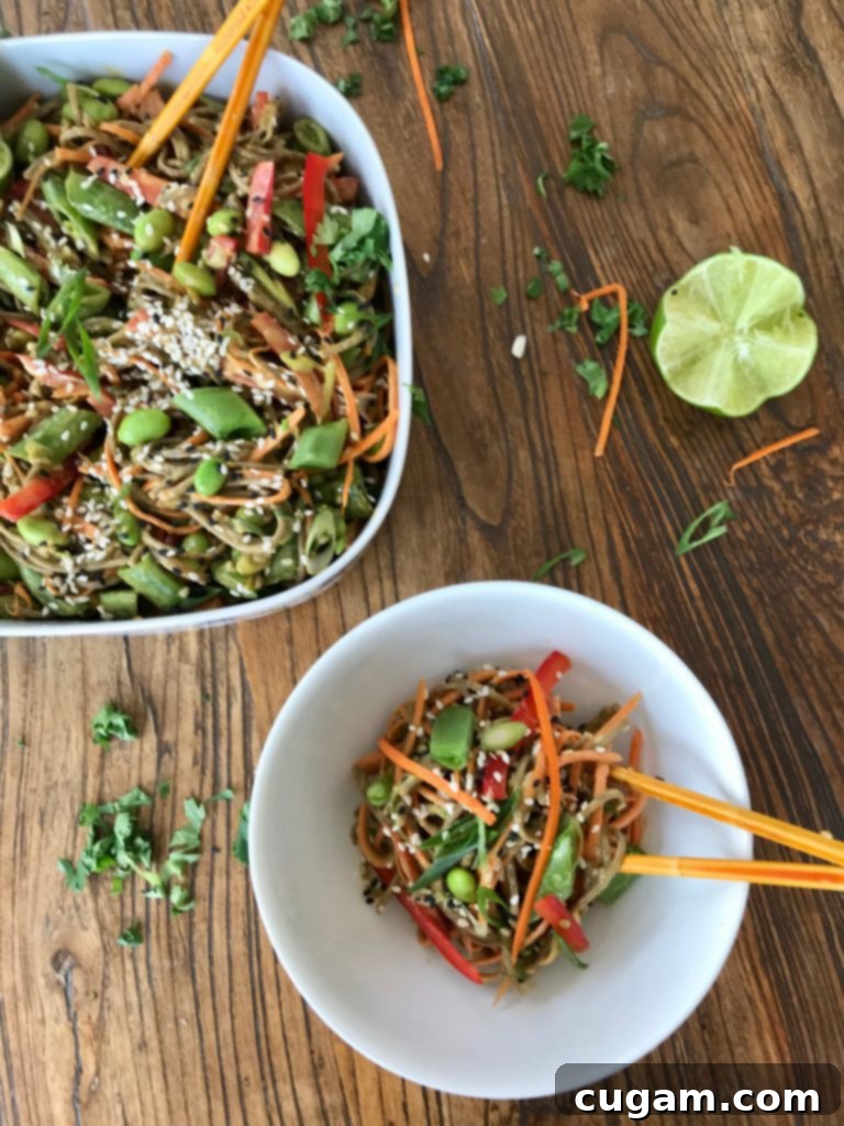 Sesame Soba Noodle and Vegetable Salad 6 Sesame Soba Noodle + Veggie Salad