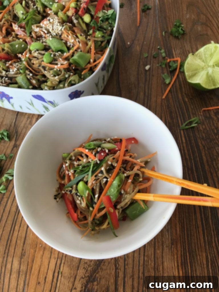 Sesame Soba Noodle and Vegetable Salad 7 Sesame Soba Noodle + Veggie Salad