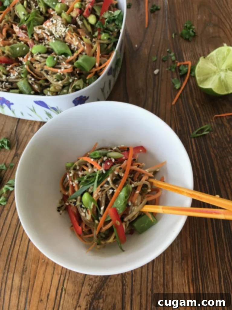 Sesame Soba Noodle + Veggie Salad