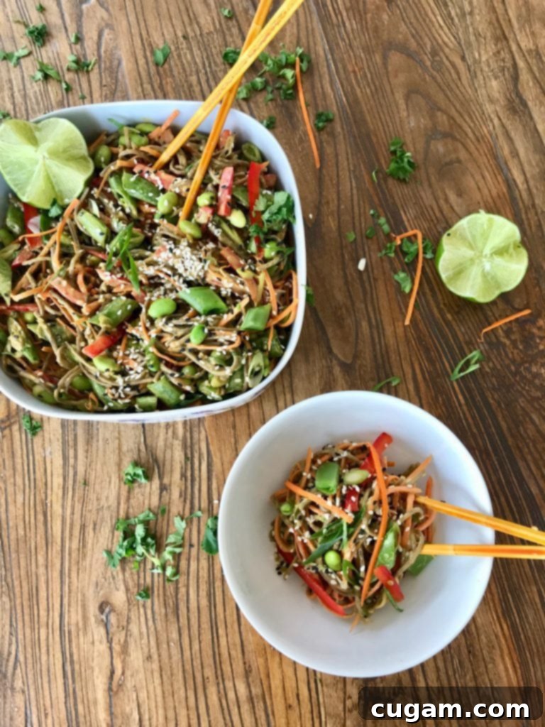 Sesame Soba Noodle + Veggie Salad