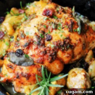 Fall Harvest Roasted Turkey Breast is a perfect recipe for Thanksgiving if you don't want to cook the whole bird.