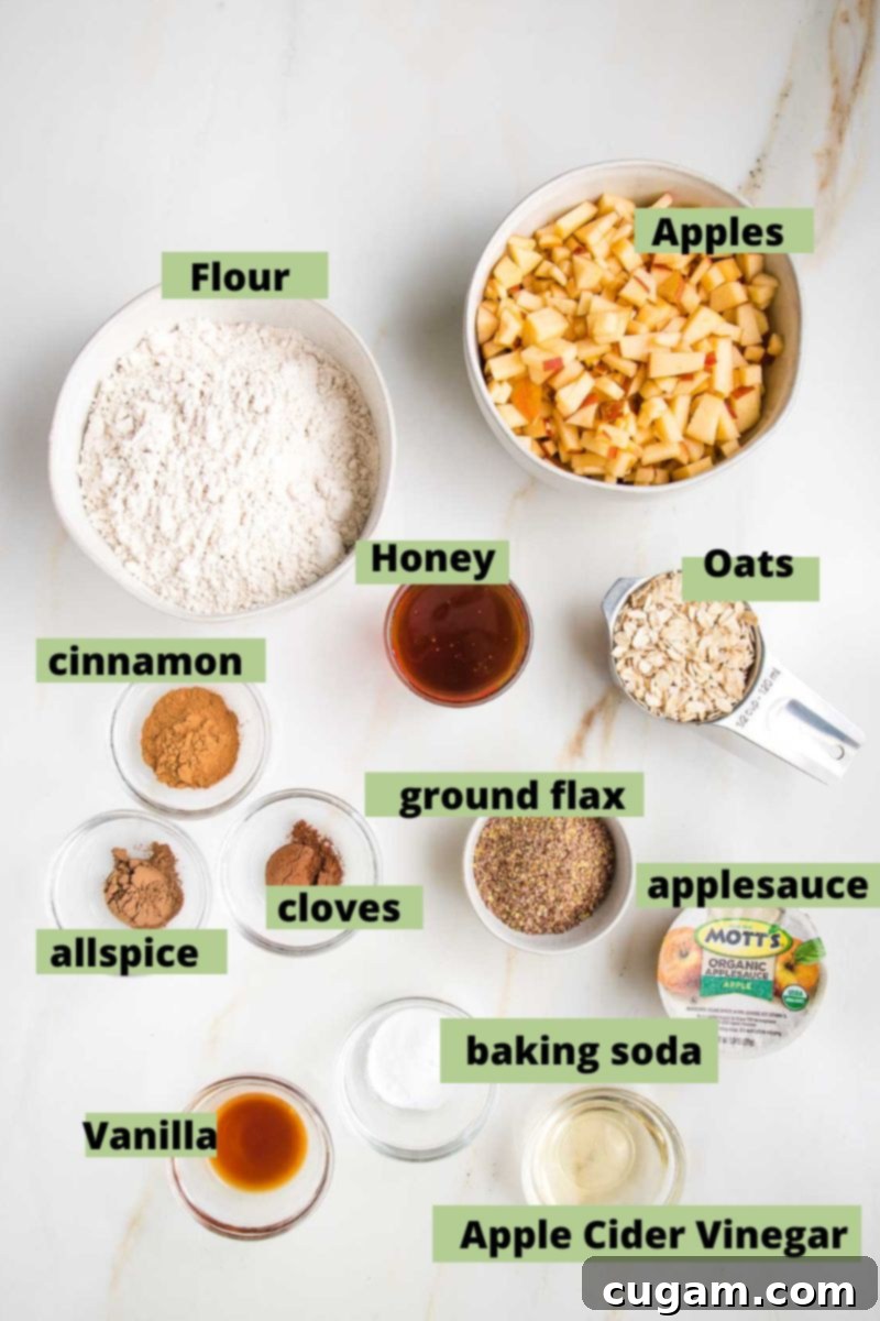 Labeled ingredients for a healthy apple cake recipe, neatly arranged on a counter. Key components include whole wheat flour, fresh red apples, rolled oats, golden honey, aromatic cinnamon, allspice, ground cloves, ground flaxseed, smooth unsweetened applesauce, vanilla extract, baking soda, and apple cider vinegar.