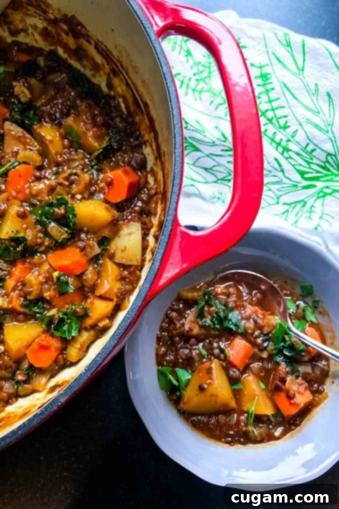 Stew in a dutch oven and bowl with lentils, carrots, potatoes, kale and a rich brown saucy broth. 