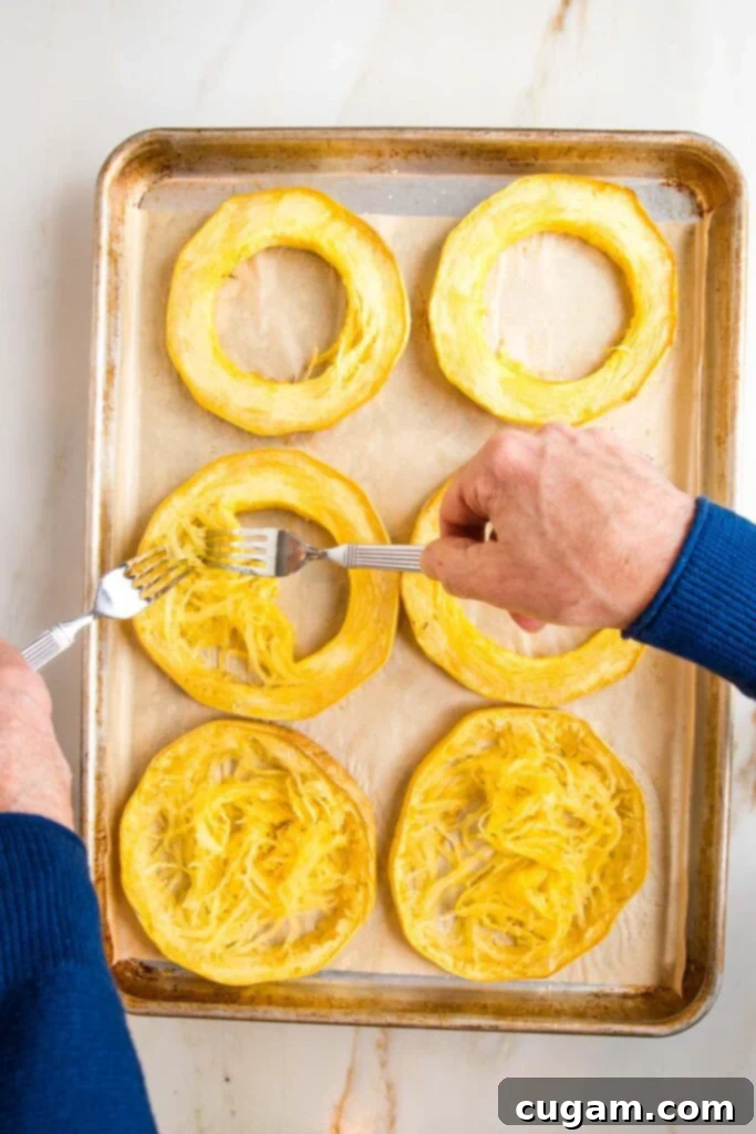 Large rimmed baking sheet with rings of spaghetti squash. Two forks pulling the spaghetti from the skins into spaghetti strands.