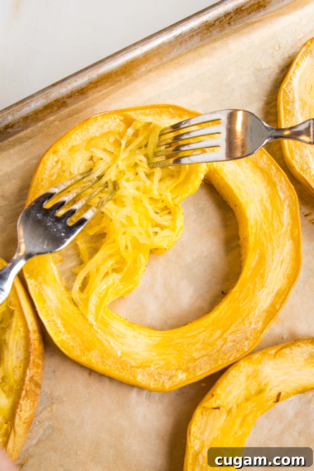 Close-up of a ring of spaghetti squash with two forks pulling the strands from the skins.