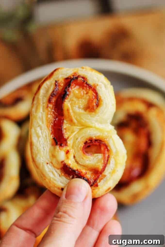 Freshly baked Mahon-Menorca Pinwheels with fig jam and Serrano ham, hot out of the oven.