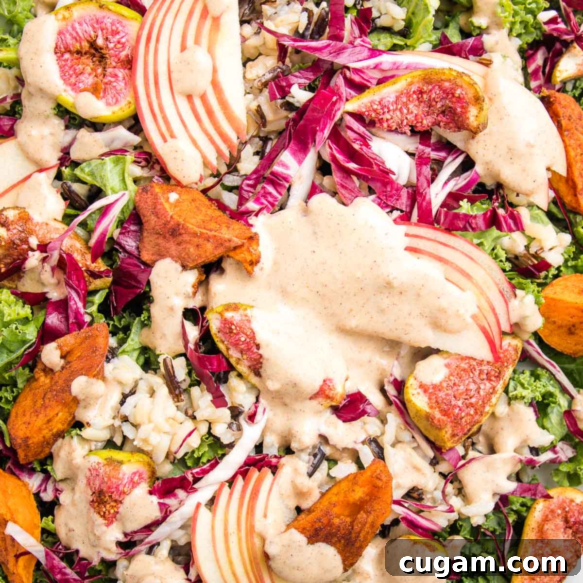 Close-up of a colorful salad with sliced apples, sweet potatoes, wild rice, and figs, glistening with creamy orange dressing.
