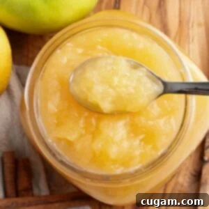 Homemade Sugar-Free Applesauce 10 Spoonful of homemade applesauce on a jar of chunky applsauce.