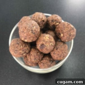Close-up of a small dish filled with round, brown energy balls, showing the textured surface from oats and nuts.