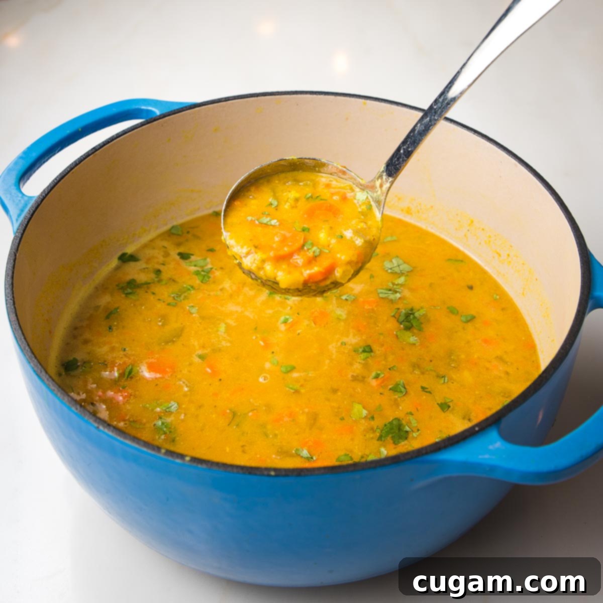 A dutch oven filled with yellow split pea soup.  There is a close up of a ladle of said soup, where you can see chunks of carrots, some mashed split peas and some fresh green herbs.