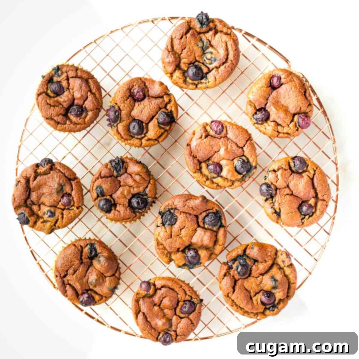 A single baked almond flour blueberry muffin, beautifully golden and speckled with blueberries, sitting on a white background.