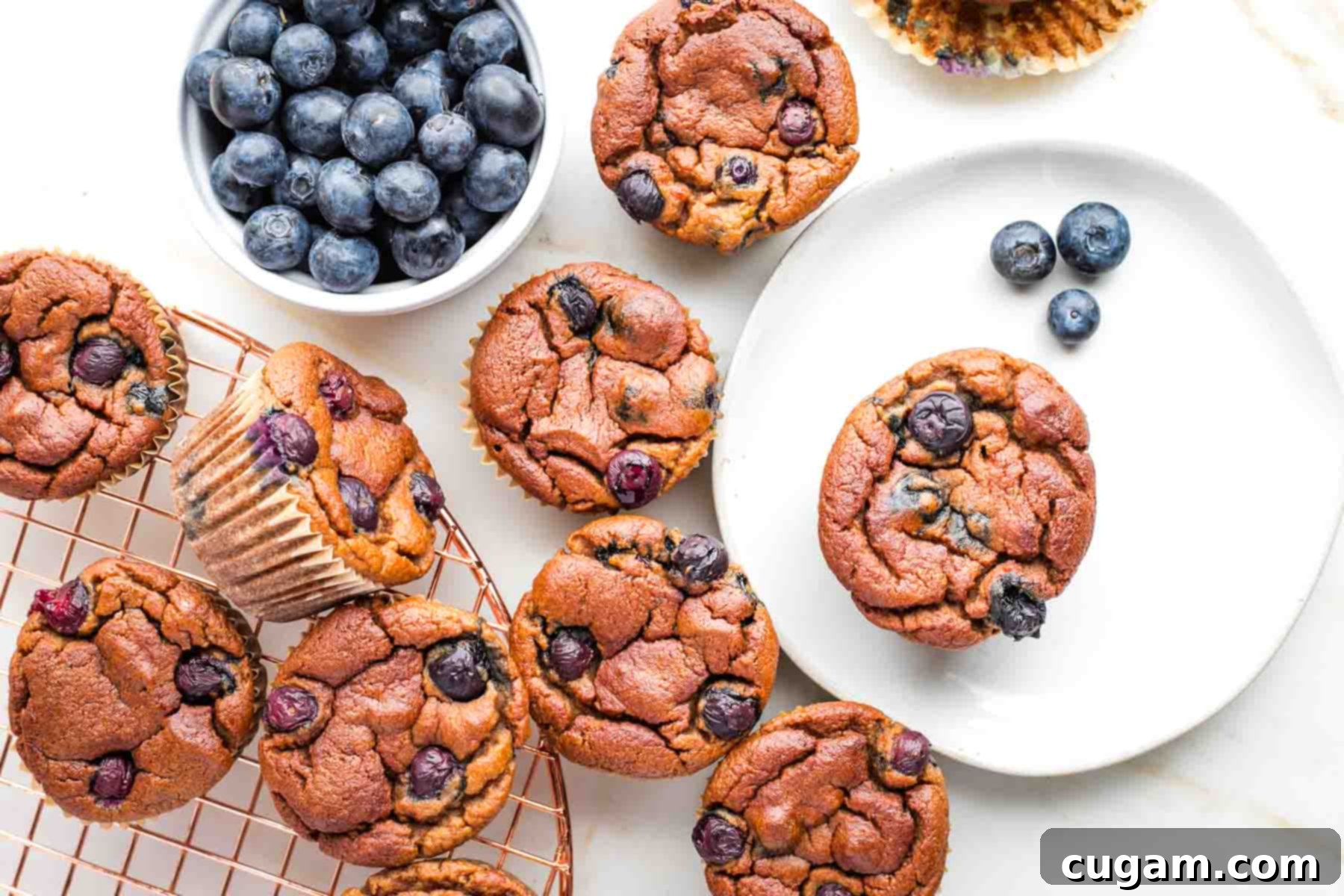 Three golden blueberry muffins, one sliced in half to show the moist interior and blueberries, served on a white plate with a fork.