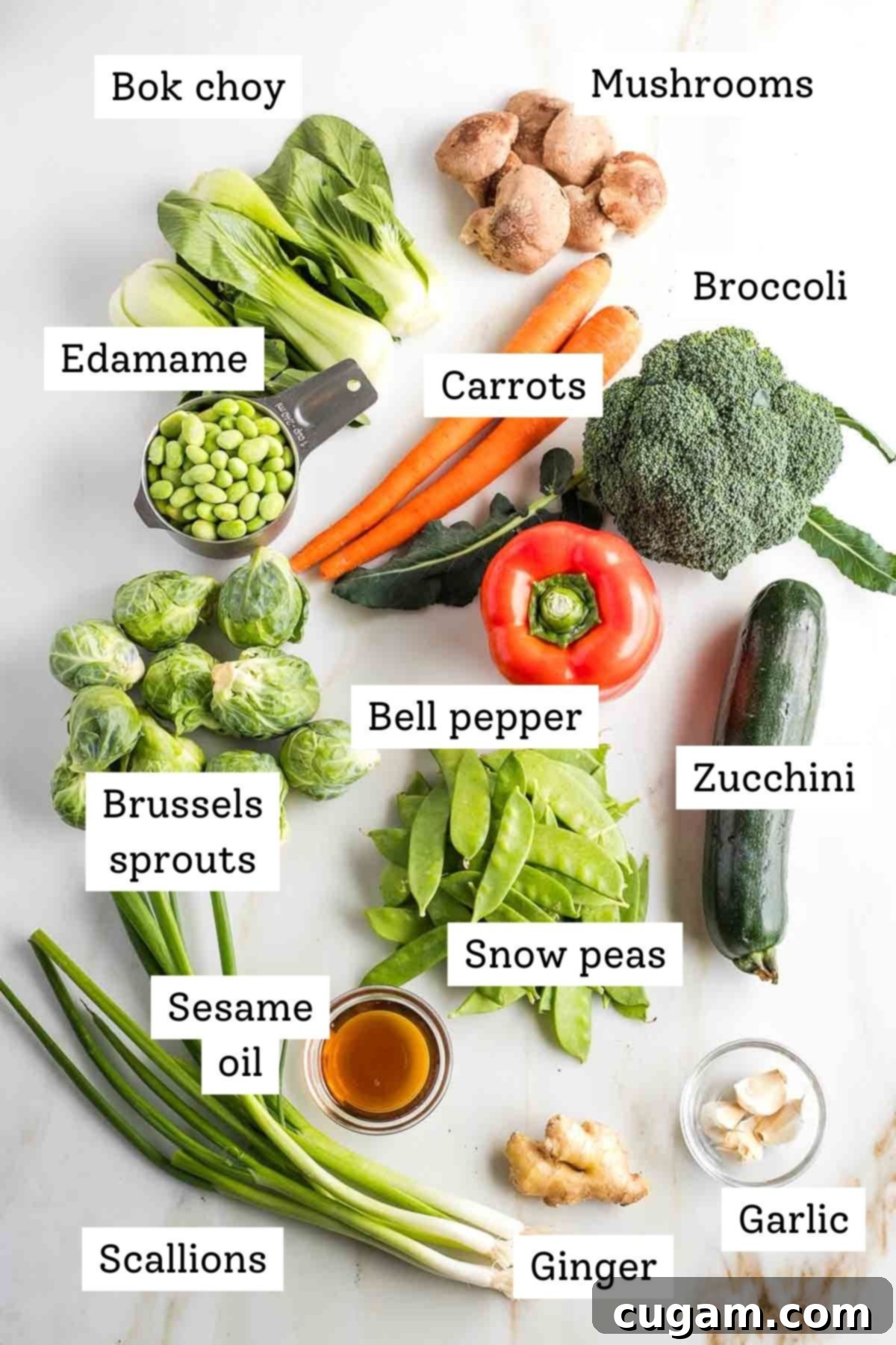 Labeled ingredients for the stir fry: bok choy, mushrooms, bell pepper, carrots, broccoli, Brussels sprouts, zucchini, snow peas, scallions, sesame oil, ginger, garlic, showcasing fresh and vibrant produce.